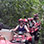 Arenal ATV + Balsa River Rafting in Costa Rica