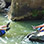 Lazy River Float & Baru River Tubing Tour in Costa Rica
