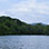 Manuel Antonio Freshwater Mangrove Fishing