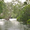 Manuel Antonio Freshwater Mangrove Fishing