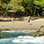 Manuel Antonio National Park + Catamaran Snorkel Combo Deal