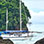 Manuel Antonio Snorkel & Sailing Experience