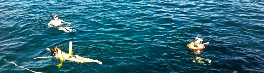 Marlin Del Rey Papagayo Snorkeling & Sailing Catamaran Tour Costa Rica