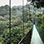 Monteverde Cloud Forest Aerial Tram & Hanging Bridges Tour