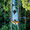 Monteverde Cloud Forest Aerial Tram & Hanging Bridges Tour
