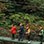 Monteverde Cloud Forest Aerial Tram & Hanging Bridges Tour