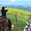 Cloud Forest Horseback Riding Monteverde, Costa Rica