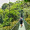 Monteverde Cloud Forest Tour Experience