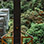 Monteverde Sky Tram, Sky Trek Zip Lines, and Sky Walk Hanging Bridges