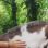 Nauyaca Waterfall Adventure