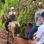 Nauyaca Waterfall Adventure
