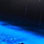 Puntarenas Bioluminescence Boat Tour