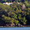 37' Sport Catamaran – Private Charter in Manuel Antonio, Costa Rica