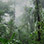 Private Monteverde Cloud Forest Express (Private Chauffeur Services)