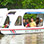 Private Puerto Limon Shore Excursion