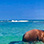 Puerto Viejo Beach Horseback Riding