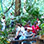 Puntarenas Zip Line Canopy Tour & Rainforest Aerial Tram Ride