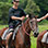 Pura Aventura Horseback Ride