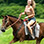 Pura Aventura Horseback Ride