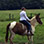 Pura Aventura Sunset Horseback Ride