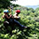 Puraventura Canopy Tour