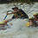 Whitewater Rafting the Savegre River Class II & III