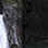 Rainforest Falls Waterfall Adventure & Canyoning