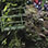 Rainforest Falls Waterfall Adventure & Canyoning