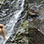 Rainforest Falls Waterfall Adventure & Canyoning
