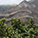 Rincon de la Vieja Volcano National Park Tour