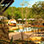 Rio Perdido Adventure Resort