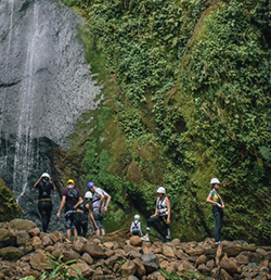 Cloud Forest