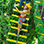 Sunset Canopy Tour in Costa Rica
