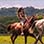 Tamarindo Beach Horseback Ride