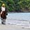 Tamarindo Beach Horseback Ride