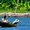 Tamarindo Mangrove Boat Safari