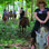 Tarcoles Beach Horseback Ride Jaco