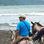 Tarcoles Beach Horseback Ride Jaco