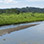 Tarcoles River Crocodile Safari