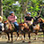 Tocori Waterfalls & Rancho Don Gilberto Horseback Ride