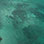 Tortuga Island Private Tour from Puntarenas