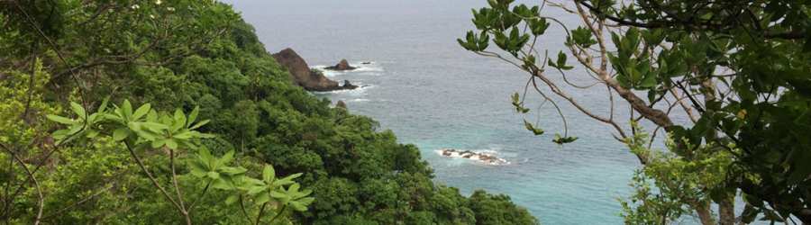 tortuga island tour from manuel antonio