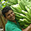 Banana Plantation + Tortuguero One Day Tour
