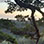 Treetop Climbing Monteverde Cloud Forest