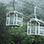 Treetopia Ultimate Monteverde Cloud Forest Experience