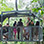 Veragua Rainforest Aerial Tram and Nature Park