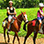 Vista Los Suenos Adventure Park Shore Excursion Costa Rica