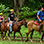 Vista Los Suenos Adventure Park Full Day Adventure