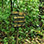 Finca Modelo Waterfall Hike in Costa Rica's Cloud Forest