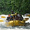 Whitewater Rafting the Savegre River (Class II/III)